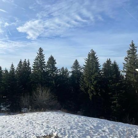 Chamrousse A 50M Des Pistes Appart 4/6 Εξωτερικό φωτογραφία