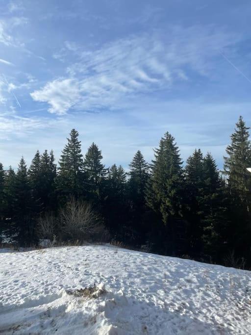 Chamrousse A 50M Des Pistes Appart 4/6 Εξωτερικό φωτογραφία