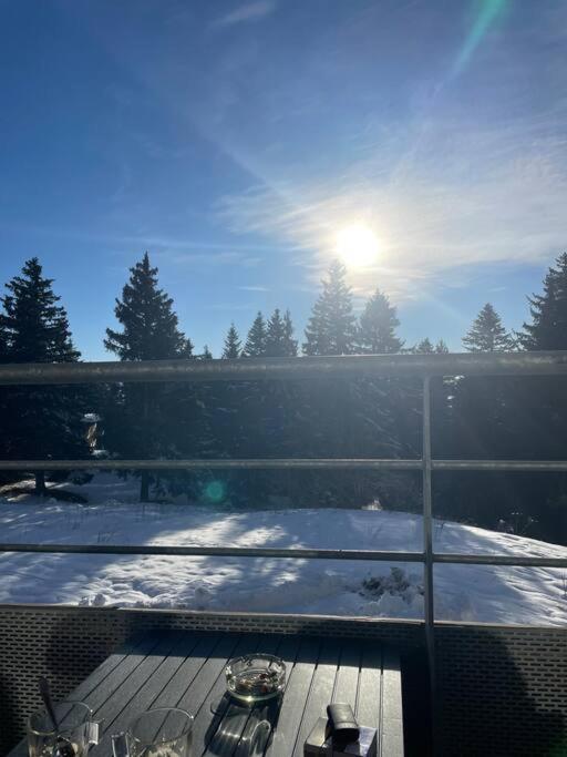Chamrousse A 50M Des Pistes Appart 4/6 Εξωτερικό φωτογραφία